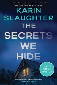 The Secrets We Hide: A North Falls Thriller cover