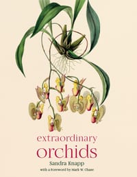 Extraordinary Orchids cover
