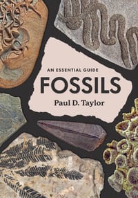 Fossils: An Essential Guide cover