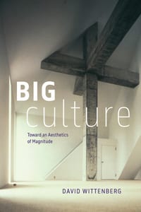Big Culture: Toward an Aesthetics of Magnitude cover