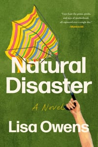 Natural Disaster cover