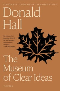 The Museum of Clear Ideas cover