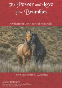 The Power and Love of the Brumbies: Awakening the Heart of Australia cover