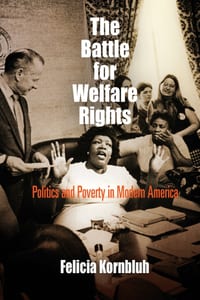 The Battle for Welfare Rights: Politics and Poverty in Modern America cover