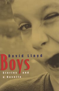 Boys: Stories and a Novella cover