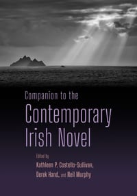 Companion to the Contemporary Irish Novel cover
