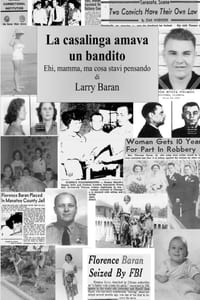 La casalinga amava un bandito cover