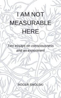 I Am Not Measurable Here: Two essays on consciousness and an experiment cover