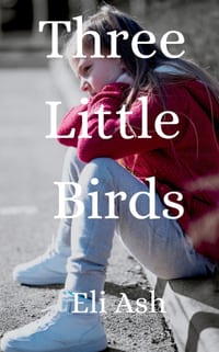 Three Little Birds - The Last Twelve Months in Foster Care cover