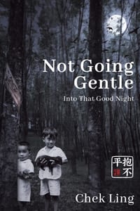 Not Going Gentle cover