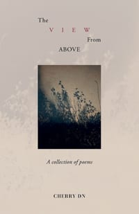 The View From Above cover