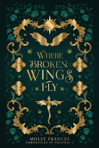 Where Broken Wings Fly cover