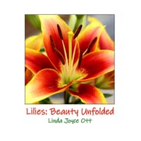 Lilies: Beauty Unfolded cover