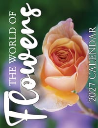 Flowers 2027 Calendar cover