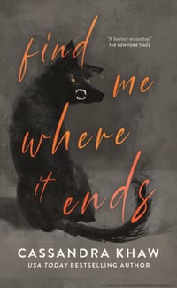 Find Me Where It Ends cover