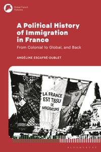 A Political History of Immigration in France: From Colonial to Global, and Back cover