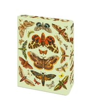 The Moth Journal: Blank Lined Notebook cover