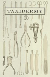 Taxidermy cover