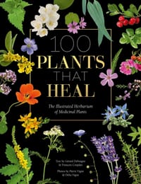 100 Plants That Heal: The Illustrated Herbarium of Medicinal Plants cover