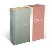NLT Dayspring Hope & Encouragement Bible (Hardcover Deluxe, Seafoam Green) cover