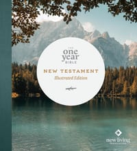 The One Year Bible New Testament: NLT (Softcover, Lakeside Haven) cover