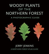 Woody Plants of the Northern Forest: A Photographic Guide cover