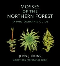 Mosses of the Northern Forest: A Photographic Guide cover