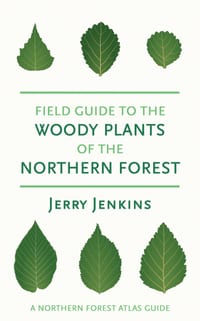 Field Guide to the Woody Plants of the Northern Forest cover