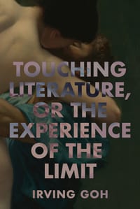 Touching Literature, or the Experience of the Limit cover