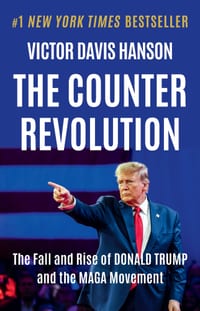 The Counterrevolution: The Fall and Rise of Donald Trump and the Maga Movement cover