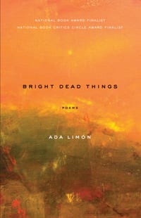 Bright Dead Things: Poems cover