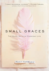 Small Graces: A Celebration of the Ordinary: Sacred Moments That Illuminate Our Lives cover