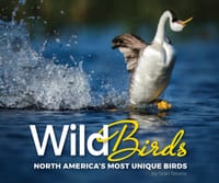 Wild Birds: North America's Most Unique Birds cover
