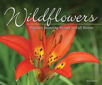 Wildflowers: Nature's Stunning Beauty on Display cover