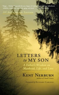 Letters to My Son: A Father's Wisdom on Manhood, Life, and Love cover