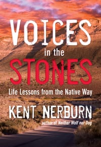 Voices in the Stones: Life Lessons from the Native Way cover