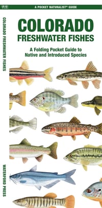 Colorado Freshwater Fishes: A Folding Pocket Guide to Native and Introduced Species cover