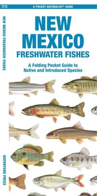 New Mexico Freshwater Fishes: A Folding Pocket Guide to Native and Introduced Species cover