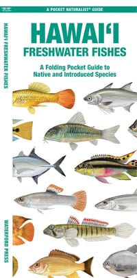 Hawai'i Freshwater Fishes: A Folding Pocket Guide to Native and Introduced Species cover