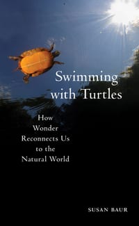Swimming with Turtles: How Wonder Reconnects Us to the Natural World cover
