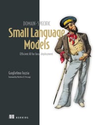 Domain-Specific Small Language Models: Efficient AI for Local Deployment cover