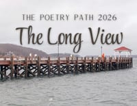 The Long View - The Poetry Path 2026 cover