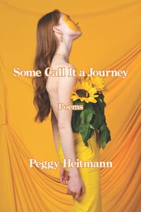 Some Call It a Journey cover