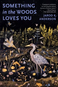 Something in the Woods Loves You cover
