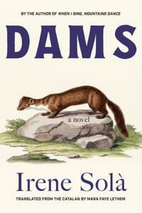 Dams cover
