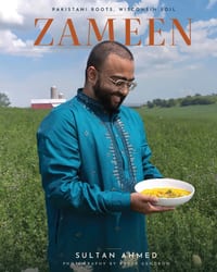 Zameen cover
