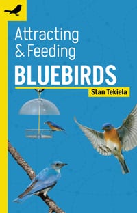 Attracting & Feeding Bluebirds cover