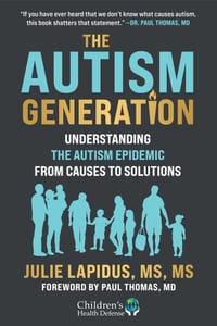 The Autism Generation: Understanding the Autism Epidemic from Causes to Solutions cover
