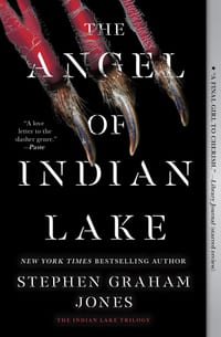The Angel of Indian Lake cover