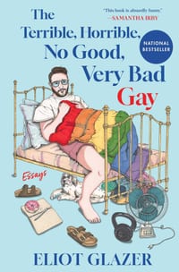 The Terrible, Horrible, No Good, Very Bad Gay: Essays cover